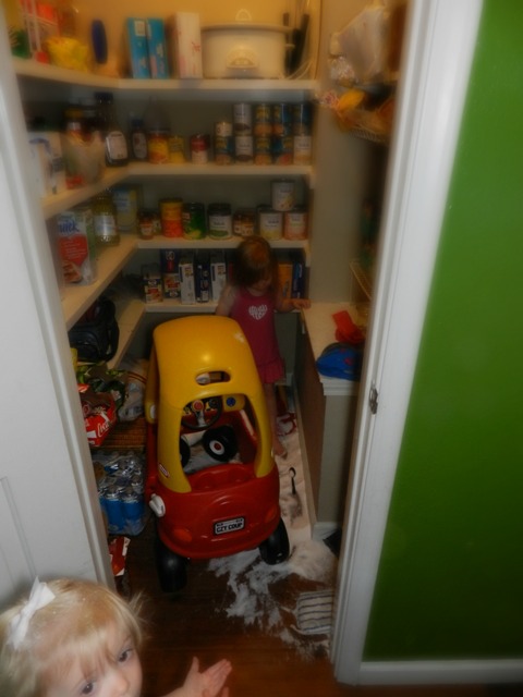 DSCN5008