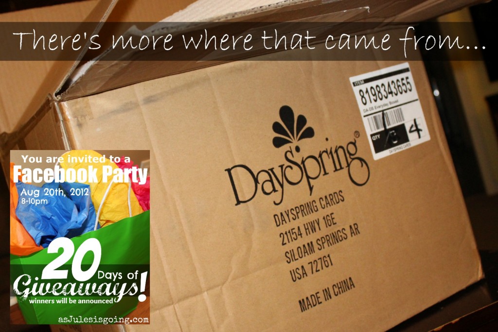 day spring box