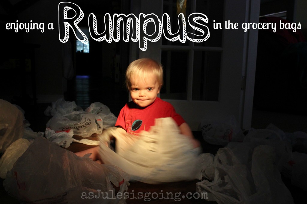 rumpus
