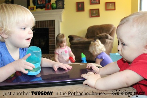 Just another Tuesday in the Rothacher house...
