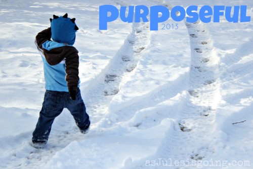 purposeful 2013
