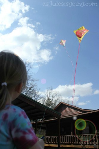 Fly Kites