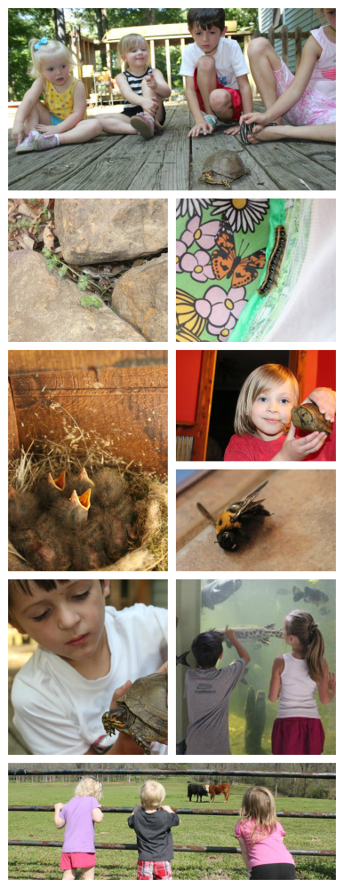 5 Days of Summer...Learning- Animal Observation - as Jules is going